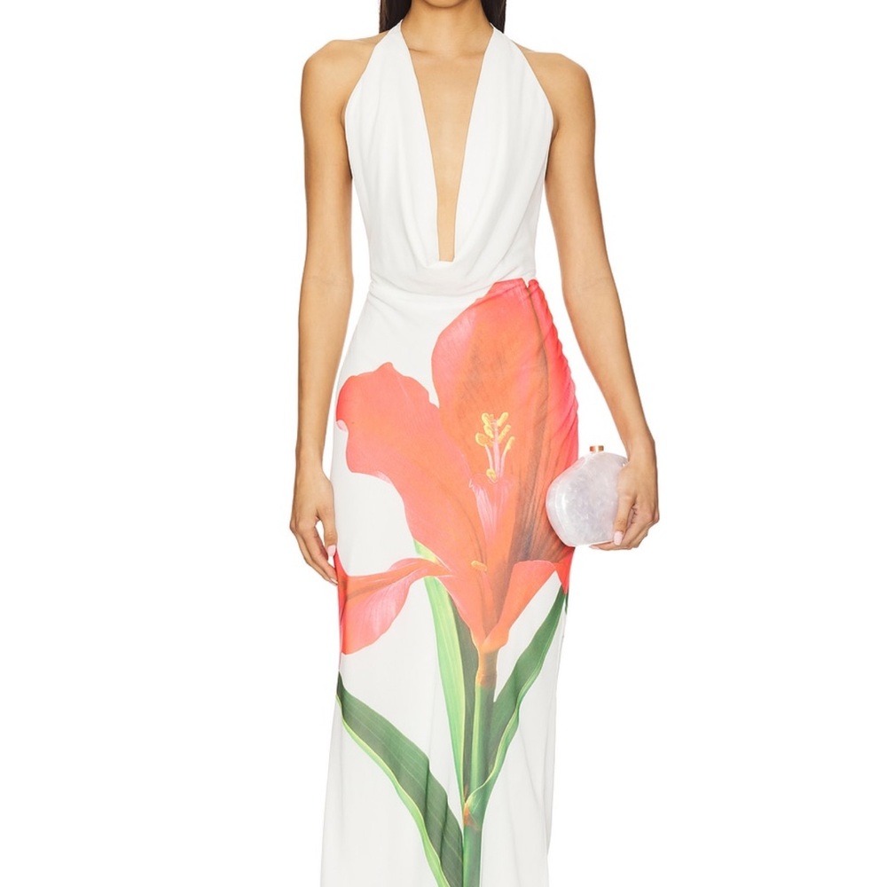 REVOLVE White and Red Floral Backless Dress- Jasmina maxi dress in red Lilly